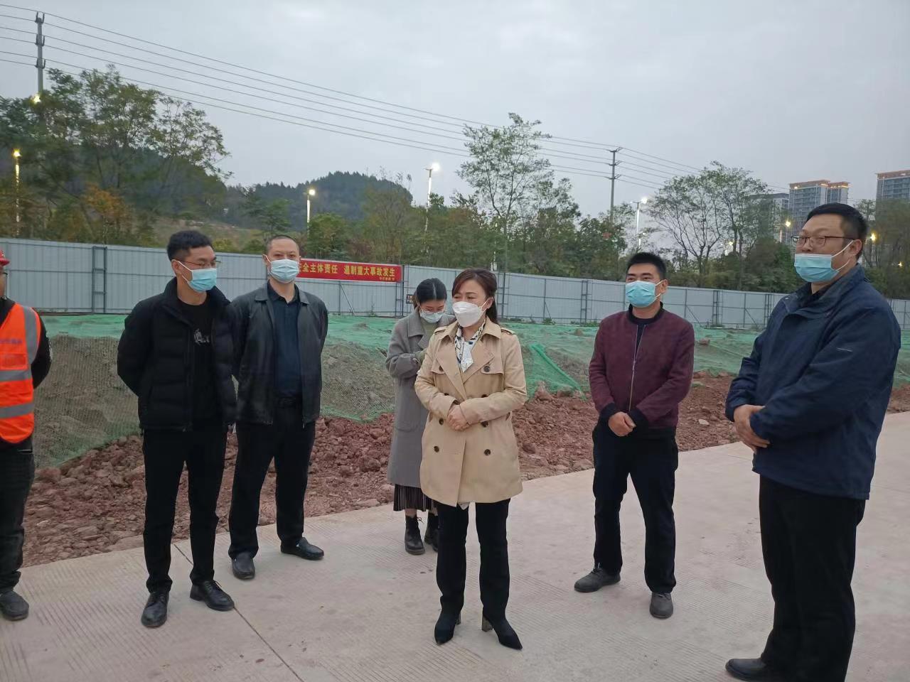縣國資金融局領(lǐng)導(dǎo)視察并指導(dǎo)博泰公司重點項目建設(shè)工作